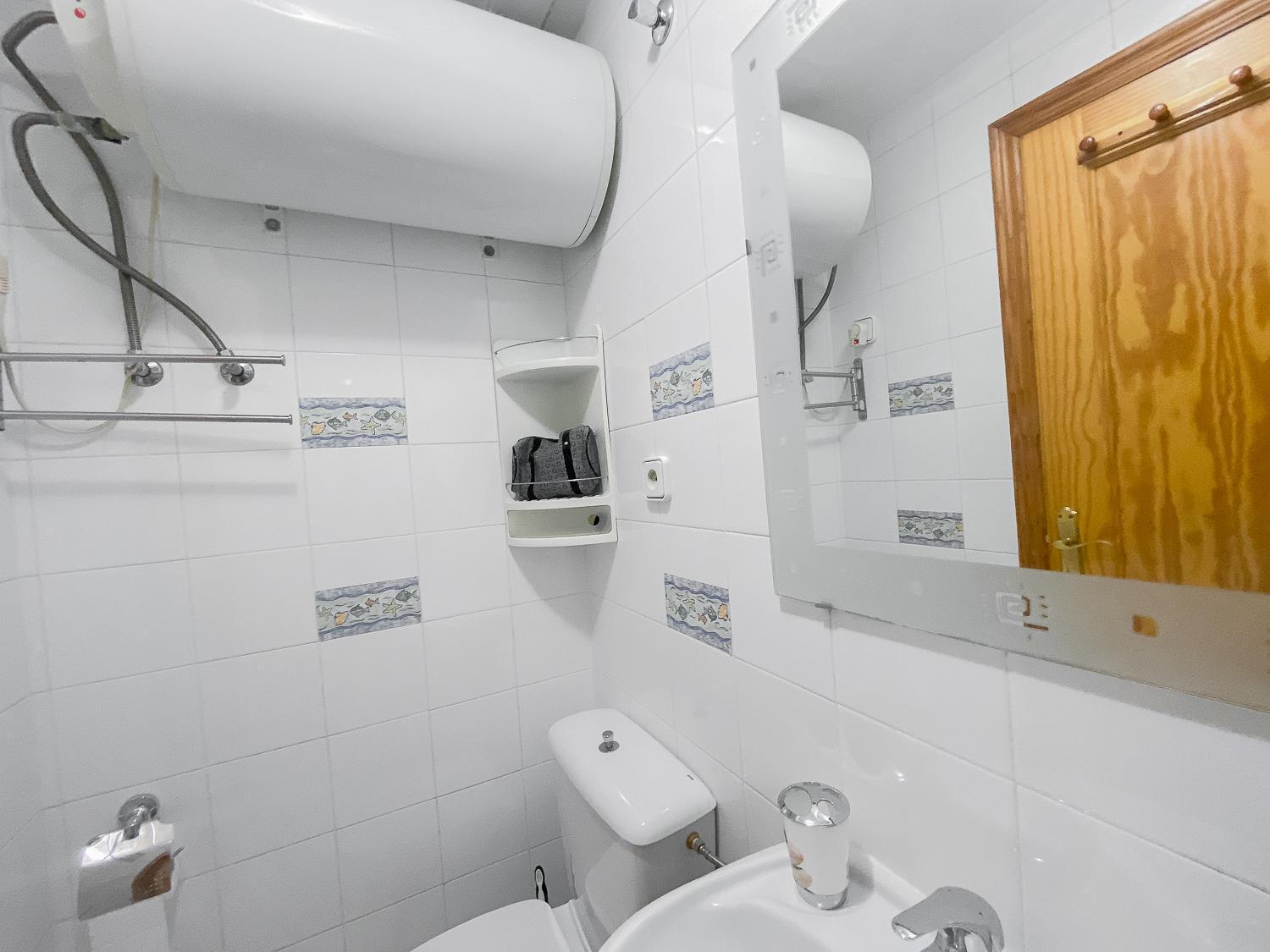 Appartement Estudio Plaza San Cristobal à Alicante Extérieur photo